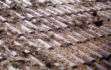 Courtway roof cleaning companies