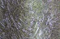 Courtway fibreglass roof work